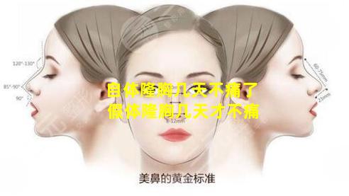 自体隆胸几天不痛了 假体隆胸几天才不痛